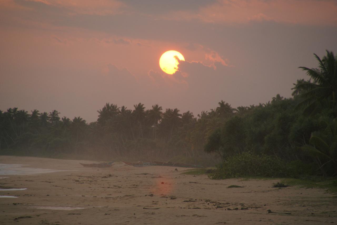 Lanka Beach Grand Villa Rekawa Kültér fotó