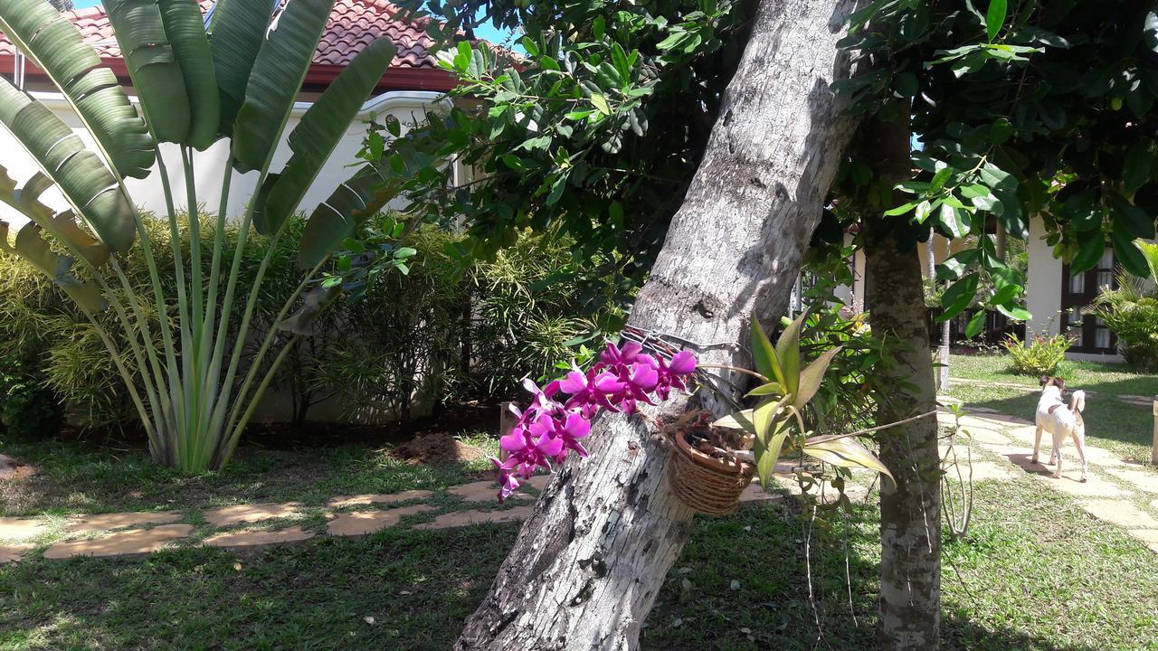 Lanka Beach Grand Villa Rekawa Kültér fotó